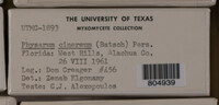 Image Associated With the Occurence